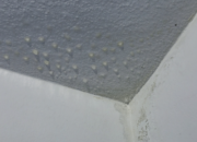 Anti-condensation