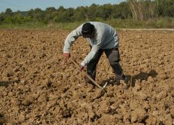 L'agriculteur à la retraite doit vendre ou louer ses terres