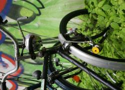 Projet de loi mobilités: la question des moyens, priorité des sénateurs