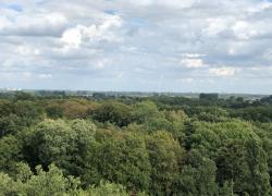 Le rapport Cattelot propose une réforme de la forêt saluée par la profession