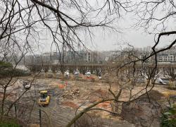 Bois : Il faut planter des arbres en ville pour compenser les coupes forestières