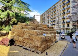 Label Bas Carbone en rénovation : une méthode à maîtriser