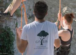 Des anti-A69 dans des arbres perchés face au tribunal avant une audience-clé